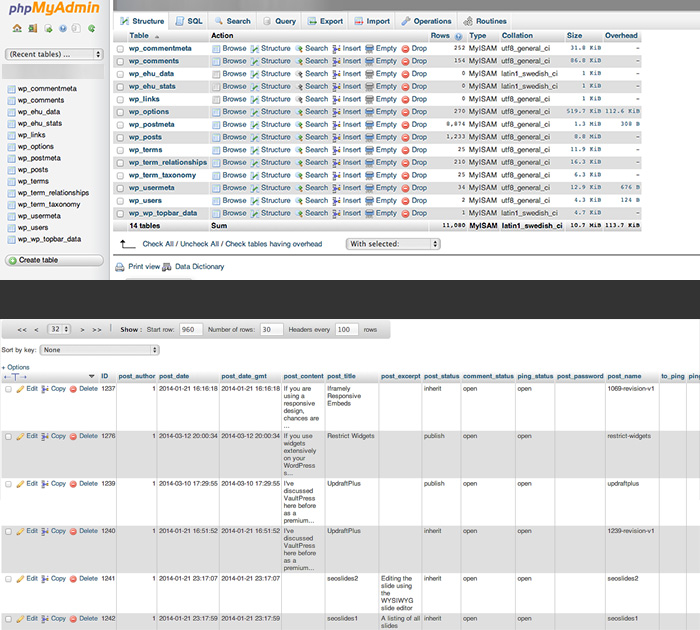 wpinstall-database 2