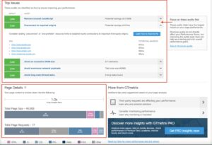 The Top Issues and Page Details of a GTMetrix report on google.com